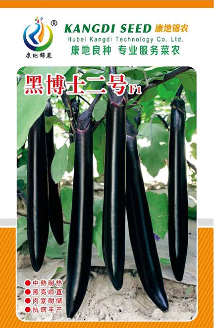 黑博士2號(hào)